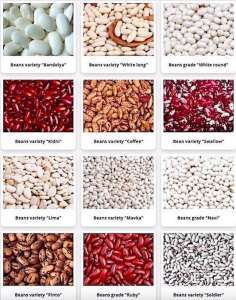 ������� �������. ʳ���, ����, �������, �������� �� �� - ����������� 1