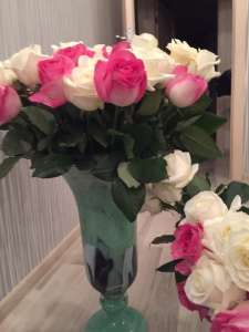 ������� ������� ר���� ����� - ����������� 1