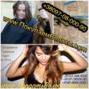 ������� � ����������: ������� ������� � г�����,������ ������� г���,������� � ���������