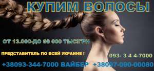 ������� ������� � �������� ������ ������ ������� �������� - ����������� 1