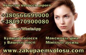 ������� ������� � �����-���������� ������ ������ ������� �����-��������� - ����������� 1