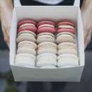 ������� � ����������: ������� ������� �� 14 ������� - ������� ����� �������� ����, ��������