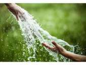 ������� � ����������: ������� ������� �� ���� � �������.