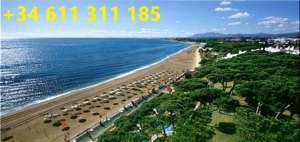 ������� ������� �� ������ ���� � �������! - ����������� 1