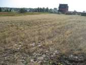 ������� � ����������: ������� ������� �� ������� � �. ����� (�����-������������ �-�) 36000 �.�.