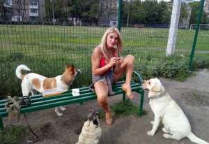 �������. ������� �� ������� � ������ - ����������� 1