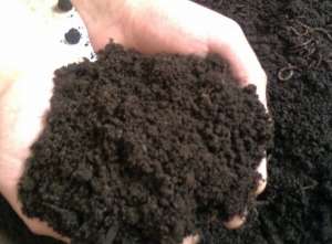 ������� ������� �� �������� ������� - ����������� 1