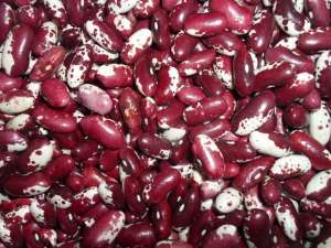 ������� ������� �� ��������� - ����������� 1