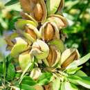 ������� ������� �� ��������� �� ����� 2019 �. - ����������� 1