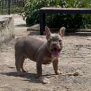 ������� ������� ��� - ����������� 2