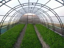 ������� ������� ��� ���� - ����������� 1