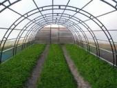 ������� � ����������: ������� ������� ��� ����