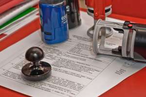 ������� ������� ���, ����������� 2018 � 2019 ����. - ����������� 1