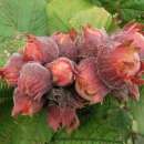 ������� � ����������: ������� ������� ���� ��������� ������������� 2 �����