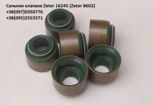 ������� ������� ����� 16245 (531989005922) - ����������� 1