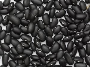 ������� ������� ����� �� ��������� � ����� 20 ���������� - ����������� 1