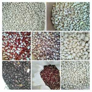 ������� ������� ����� ����� - ����������� 1