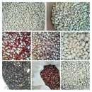 ������� � ����������: ������� ������� ����� �����