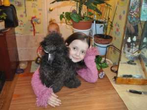 ������� ������� ����� ������ - ����������� 1