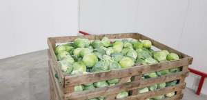 ������� ������� �����. ������ ������ ����� - ����������� 1