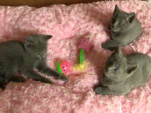 ������� ������� ������ � ����� ��� � ����� ����� - ����������� 1