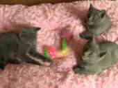 ������� � ����������: ������� ������� ������ � ����� ��� � ����� �����