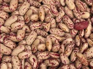 ������� ������� ������ � ��������� - ����������� 1