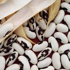 ������� ������� ������ �� ��������� ����� ����� - ����������� 1