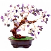 ������� ������� ������ ������� - ����������� 1