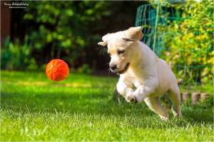 ������� ������� ������ ��������� � ������� - ����������� 1