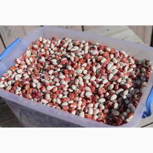 ������� ������� ������� (� ����������) - ����������� 1