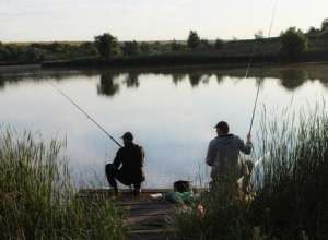 �������, �������, �������, �������� - ����������� 1