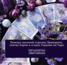 ������� � ����������: ������� ������� �������. ����������� ������ ������������.