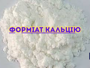 ������� �������: �������� � ���������� - ����������� 1