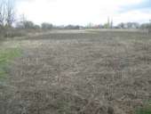 ������� � ����������: ������� ������� �������� �� ���� �� ���� ����� ��� ����