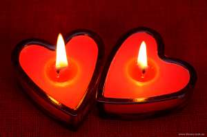 ������� �������. ��������. �������� �����. - ����������� 1