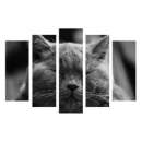 ������� ������� ��������� ������ - ����������� 3