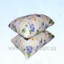 ������� � ����������: ������� �������. ��������� �������.�������.