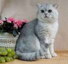 ������� � ����������: ������� ������� ���������� ����� � �����