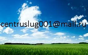 ������� �������, ������������ ����� �������, �������������, ������, �������, ������, ��� - ����������� 1