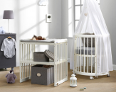 ������� ������� ��������-�����������. ������� ��� - �������/�������