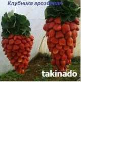 ������� �������� 2 ���. ������ - ����������� 1