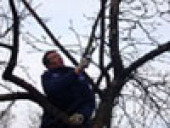 ������� ��������. ������ ������ - ������