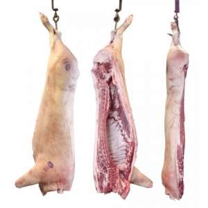 ������� �������� - ����������� 1