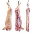 ������� � ����������: ������� ��������