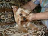 ������� � ����������: ������� ��������