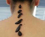 ������� �������� - ����������� 2