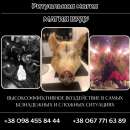 ������� �������� � ������� �����. ������ ���� ����. ����� ���� ����.