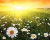 ������� � ����������: ������� �������� � ���������, ����� ��������, �������� �� ����. ������� ����, ���������� ������, ����� �����