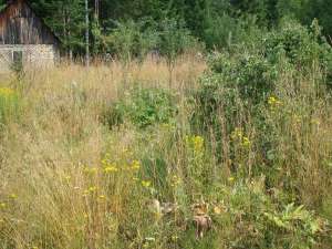 ������� �������� � ��������� ������ - ����������� 1